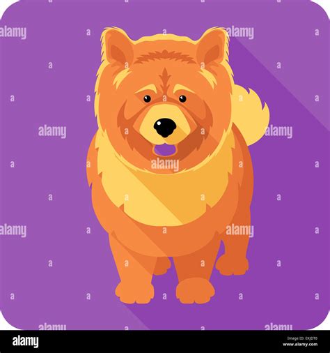 dog chow-chow icon flat design Stock Photo - Alamy