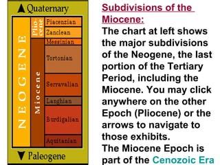 Pliocene Epoch Timeline