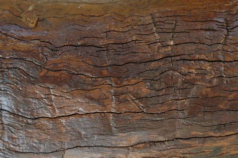 Dry wood texture 2 by BlokkStox on DeviantArt