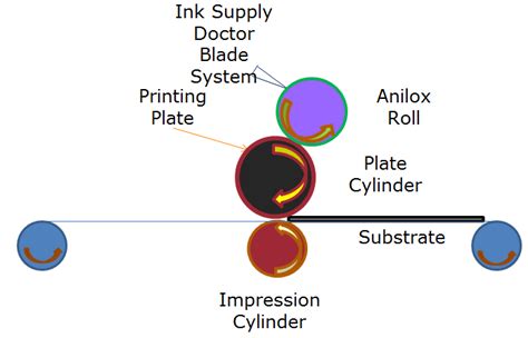 Schematic description of the micro-flexographic printing process ...