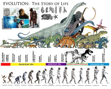 Printable Dinosaur Timeline - Printable Word Searches