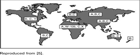 Neisseria meningitidis: epidemiology, treatment and preventi... : Current Opinion in Pediatrics