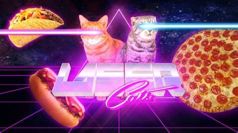 laser cats | Space cat, Cat wallpaper, Cute cat wallpaper