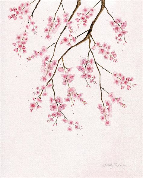 Can You Feel Spring? - Cherry Blossom Painting by Melly Terpening - Pixels