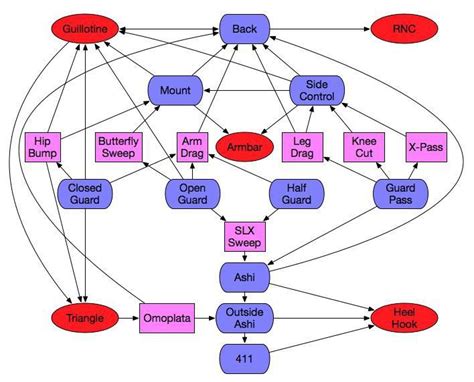 Putting a Bjj flowchart on the walls of your gym: yay or nay? : r/bjj