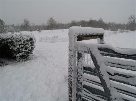 a snow covered field with a wooden fence in the foreground and bushes on the far side