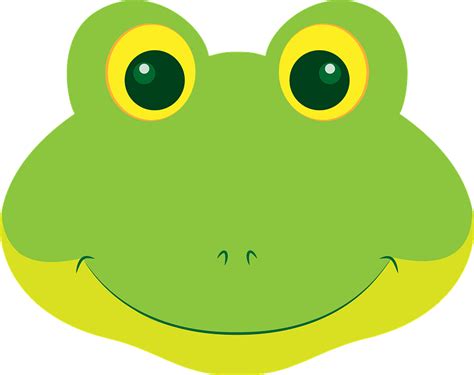 Frog face clipart. Free download transparent .PNG | Creazilla
