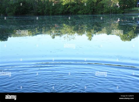 Water ripples in pond with tree and sky reflection Stock Photo - Alamy