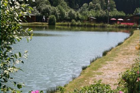 Une des promenades pédestres à Vielsalm - à Vielsalm - Promenades pédestres balisées - Ardenne ...