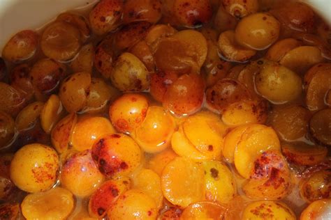 Making mirabelle plum wine - No Ordinary Homestead