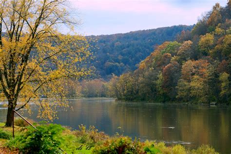 The Allegheny River at President, Forest County, PA | Photo of the Day | Pinterest | Rivers and ...