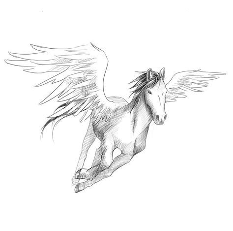 Draw a Pegasus | Freelancer