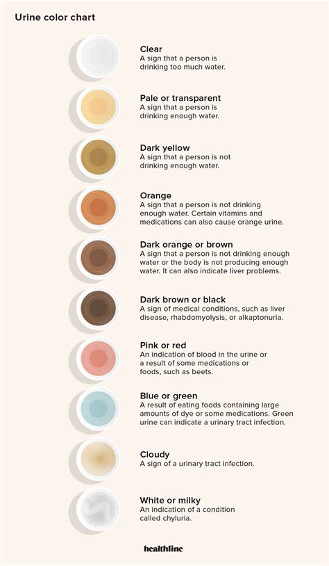 check the colour of your urine somerville medical centre - urine color chart what color is ...