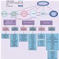 Biomarkers in AKI With Cardiorenal Syndrome - Page 3