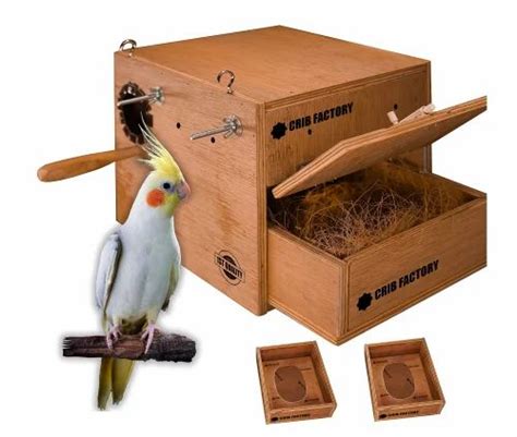 Cockatiel Bird Breeding Box at Rs 1499/piece | Wooden Bird House in Neyyattinkara | ID ...