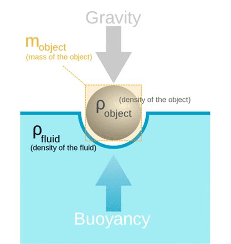 How Do Giant Boats Float? (Explained For Beginners) | GoDownsize