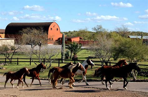 Here they come | We are known as the riding ranch with 20,00… | Flickr