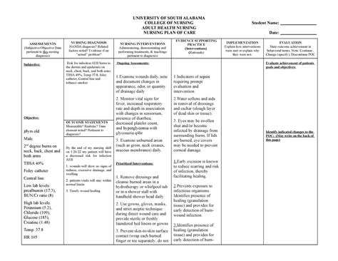 Risk for infection careplan - Student Name: _________________ Date ...