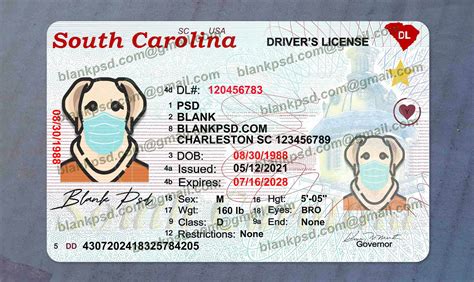 South Carolina Drivers License Psd New V2 - Blank PSD