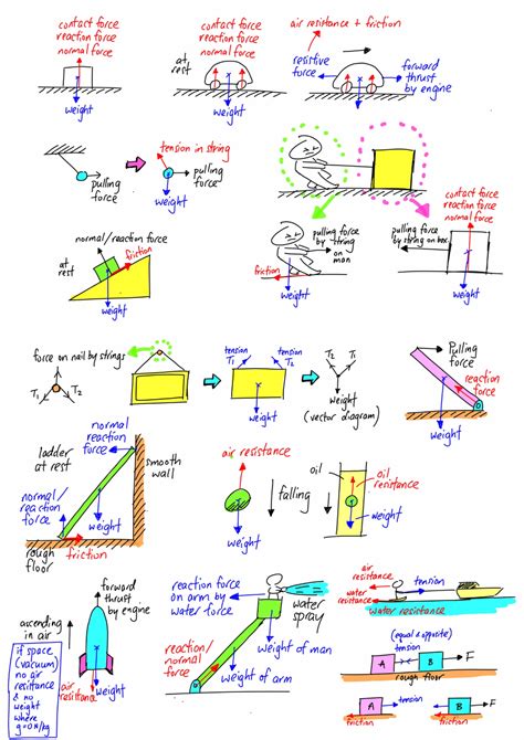 Free-body Diagram | Body diagram, Physics notes, Physics concepts