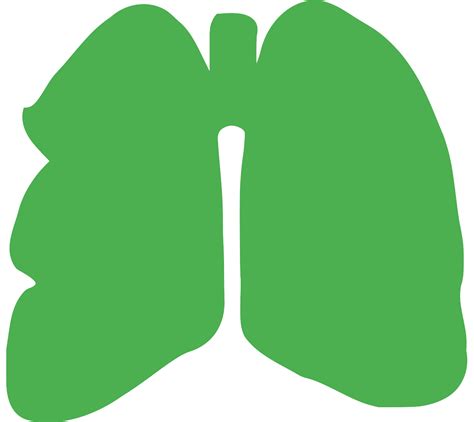 SVG > air chest lungs anatomical - Free SVG Image & Icon. | SVG Silh