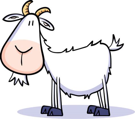 Cartoon Of Billy Goats Stock Photos, Pictures & Royalty-Free Images - iStock