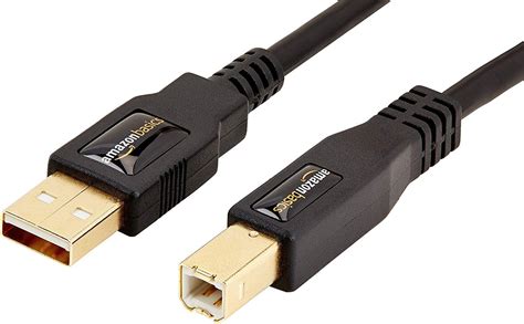 Buy Amazon Basics USB-A to USB-B 2.0 Cable for Printer or External Hard Drive, Gold-Plated ...