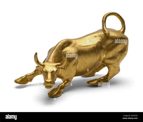 Gold Bull Statue Isolated on White Background Stock Photo - Alamy