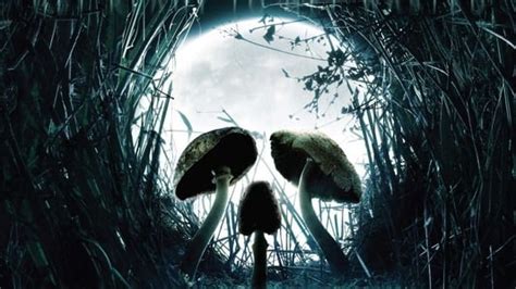 Shrooms (2007) — The Movie Database (TMDB)