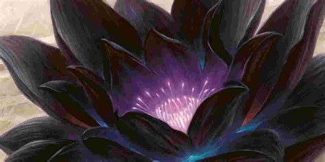 MTG: That Time Someone Opened A Booster And Pulled A Black Lotus - In 2021 - Bell of Lost Souls