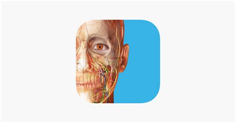 ‎Human Anatomy Atlas 2024 on the App Store