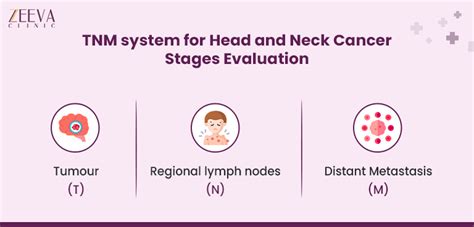 Understanding Head and Neck Cancer Stages: Is It Curable?