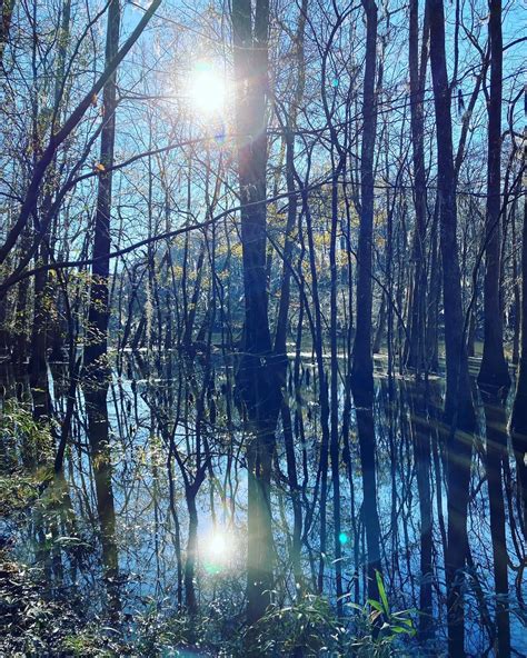 Congaree National Park, South Carolina. : r/NationalPark