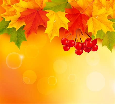 Orange Fall Leaves Background | Gallery Yopriceville - High-Quality ...