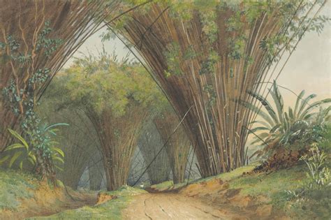 Michel Jean Cazabon (1813-1888) , Bamboo Arch | Christie's