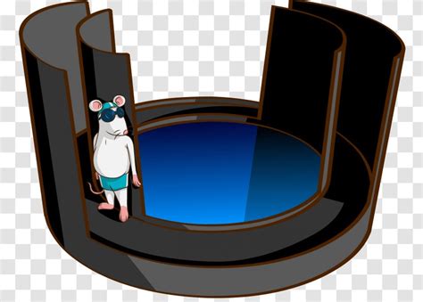 Elevated Plus Maze Rat Water Morris Navigation Task Transparent PNG