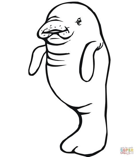 Manatee Information Coloring Pages - Coloring Home