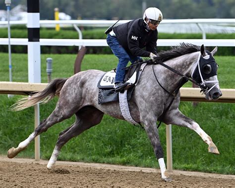 2023 Travers Stakes Cheat Sheet | America's Best Racing