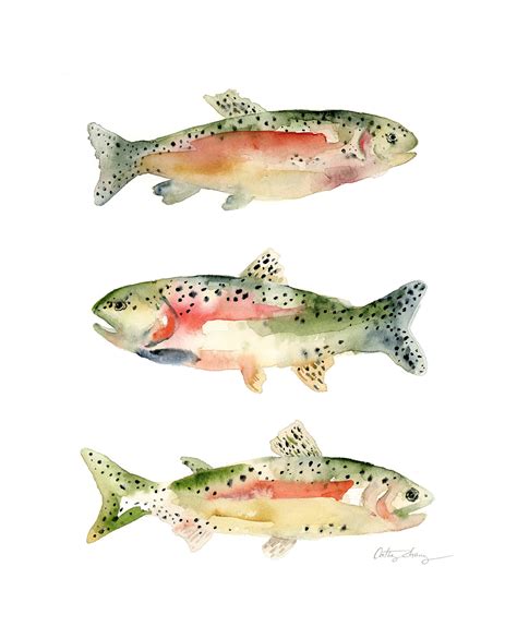 Rainbow Trout Watercolor Art Print / Rainbow Trout Trio Art - Etsy