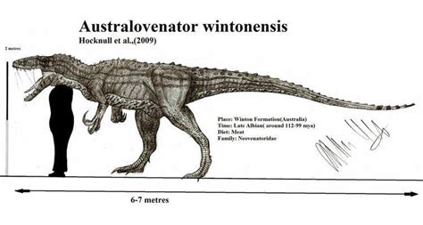 Australovenator - Alchetron, The Free Social Encyclopedia