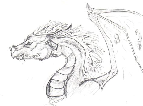 Dragon Head -Sketch by CanisLupes on DeviantArt