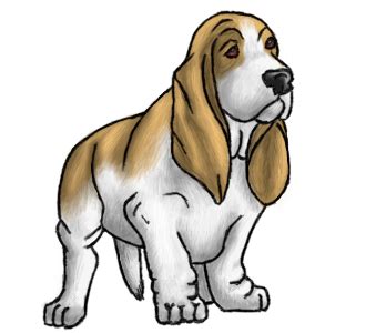 basset hound transparent background - Clip Art Library