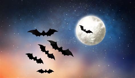 Black Bats Flying Over Moon in Starry Night Sky Stock Photo - Image of mystery, scary: 156645072