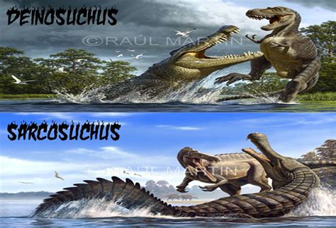 Deinosuchus & Sarcosuchus Binatang Purba "Sama Tapi Tak Serupa ...