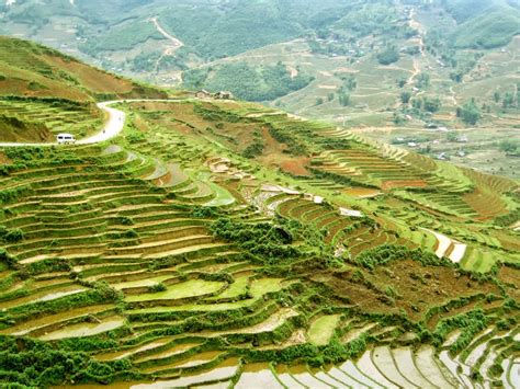 Our Serene Planet: Rice Terraces, Lào Cai, Vietnam