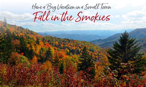 Fall Color Forecast for the Smoky Mountains near Bryson City NC