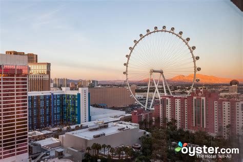 Flamingo Las Vegas Hotel & Casino - The Go Room at the Flamingo Las Vegas Hotel & Casino ...