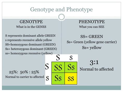 PPT - Sickle Cell Anemia PowerPoint Presentation, free download - ID:2673246