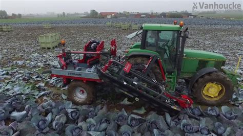 Koolrooier industrie - Arracheuse de choux - Cabbage harvester for processing - YouTube