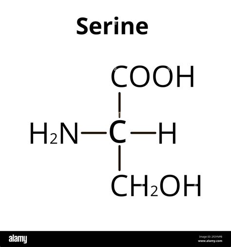 Serine Structure